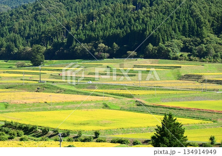秋の宮守 棚田地帯 秋の宮守 棚田地帯 134914949