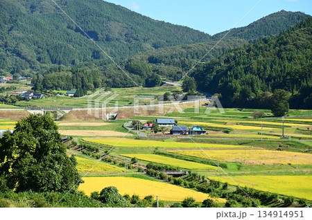 秋の宮守 棚田地帯 秋の宮守 棚田地帯 134914951