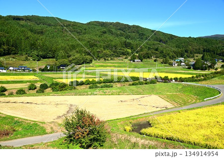 秋の宮守 棚田地帯 秋の宮守 棚田地帯 134914954