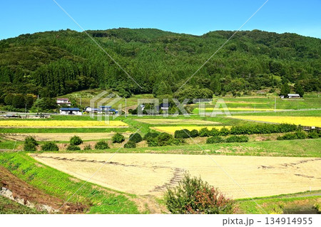 秋の宮守 棚田地帯 134914955