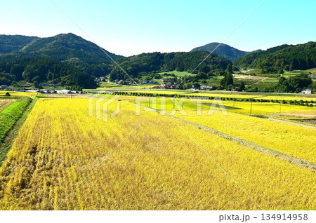 秋の宮守 棚田地帯 秋の宮守 棚田地帯 134914958
