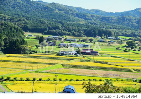 秋の宮守 棚田地帯 秋の宮守 棚田地帯 134914964