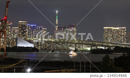 「大井北部陸橋」から見た東京スカイツリー 134914988