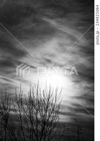 野原の夕景 河川敷 野原の夕景 河川敷 134915064