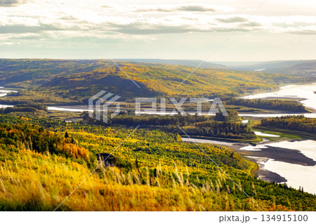 Majestic Peace River amidst yellow autumn forests. 134915100