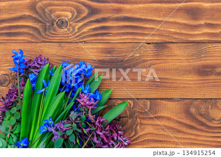 Bouquet of purple corydalis flowers and blue scilla flowers on wooden background 134915254