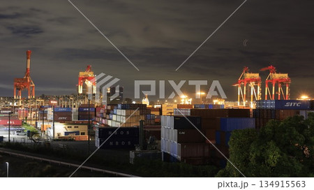 「大井北部陸橋」から見た大井2号ターミナル 134915563