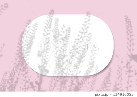 Natural light casts shadows from field grass on an oval sheet of white paper lying on a horizontal pink background. Mockup 134916053