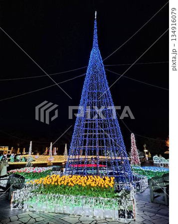 クリスマスイルミネーション クリスマスイルミネーション 134916079