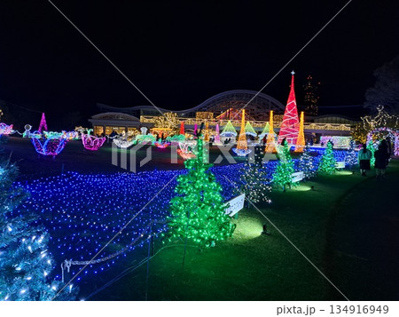 美しいクリスマス 134916949