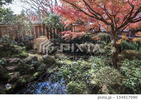 Nov 23 2025 Zen Garden at Hosen in Temple in Autumn 134917090
