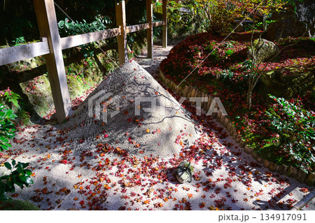 Nov 23 2025 Zen Garden at Hosen in Temple in Autumn 134917091