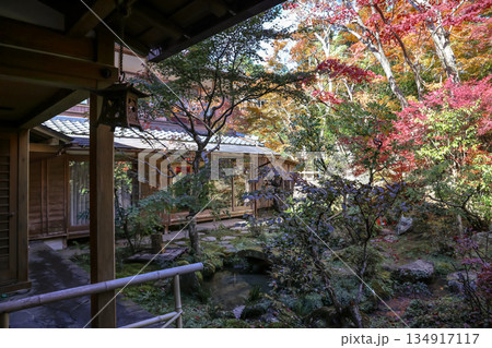 Nov 23 2025 Zen Garden at Hosen in Temple in Autumn 134917117