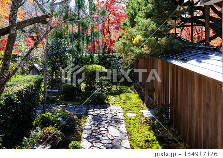 Nov 23 2025 Zen Garden at Hosen in Temple in Autumn 134917126