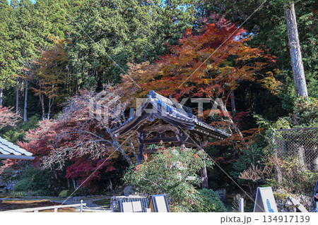 Nov 23 2025 Zen Garden at Hosen in Temple in Autumn 134917139