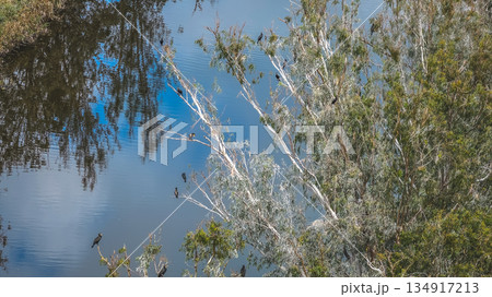 Dec 20 2025 Nam Sang Wai Wetland With Calm Reflective Water Surface Dec 20 2025 Nam Sang Wai Wetland With Calm Reflective Water Surface 134917213