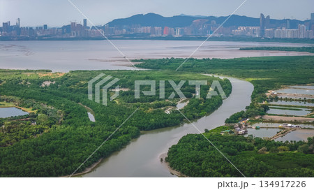 Dec 20 2025 Shan Pui River Flowing Through Green Rural Wetland Landscape 134917226