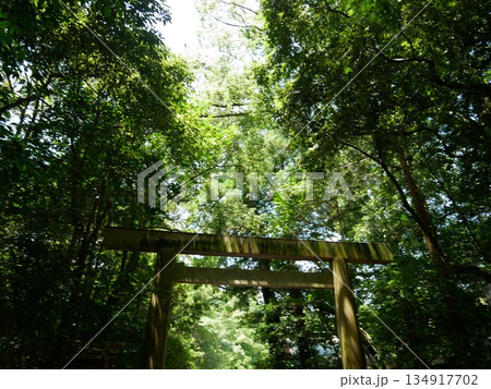 美しい伊勢神宮の景色 美しい伊勢神宮の景色 134917702