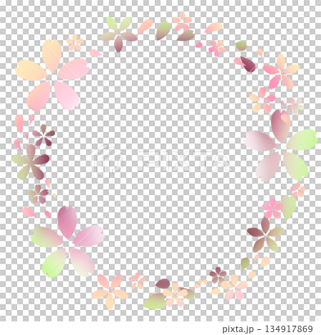 ふんわりした可愛い桜のフレーム／カラフル 134917869