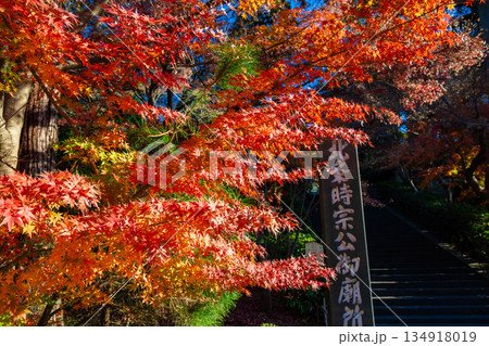 秋の鎌倉・円覚寺で見た、紅葉に包まれた参道 134918019