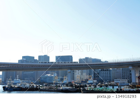 レインボーブリッジ 芝浦ループ橋を走行する新交通ゆりかもめ 134918293