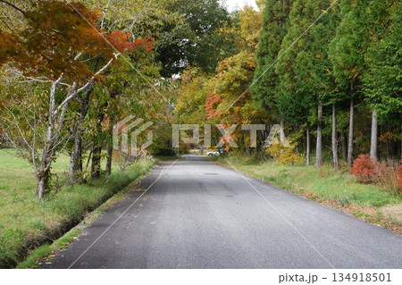 芸北八幡の自然館へ至る道の紅葉 芸北八幡の自然館へ至る道の紅葉 134918501