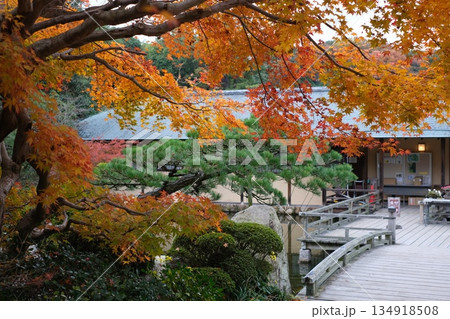 三景園の潮見亭と紅葉 134918508