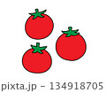ミニトマトアイコン 134918705