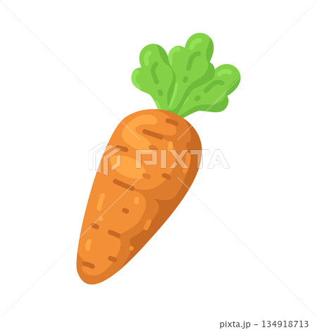 Illustration of carrot Illustration of carrot 134918713