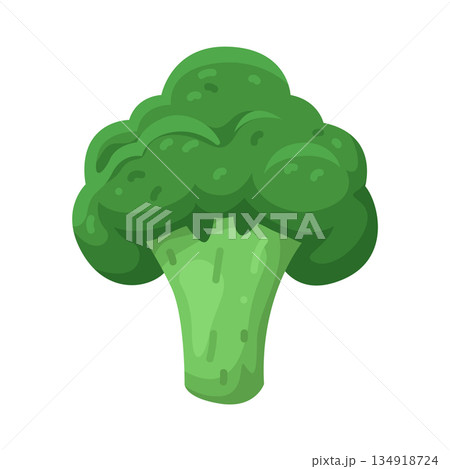 Illustration of broccoli Illustration of broccoli 134918724