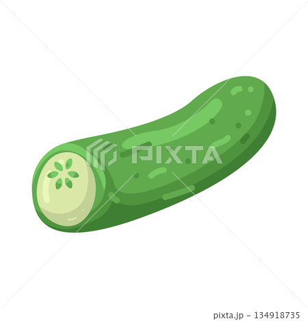 Illustration of cucumber Illustration of cucumber 134918735