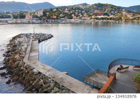 Panoramic view with breakwater overlooking sea in Liguria, Rapallo, Italy. Park, nature, exotic plants. Design backdrop. Panoramic view with breakwater overlooking sea in Liguria, Rapallo, Italy. Park, nature, exotic plants. Design backdrop. 134918976