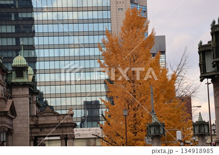 黄葉した銀杏の木と高層ビルと空の見える街並みの風景 黄葉した銀杏の木と高層ビルと空の見える街並みの風景 134918985