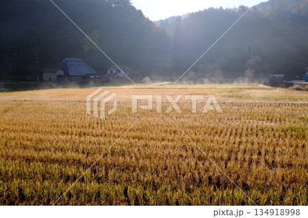 芸北細見地区朝の田んぼの景色 134918998