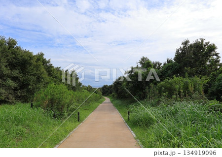 東京都・江東区・海の森公園 東京都・江東区・海の森公園 134919096