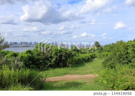 東京都・江東区・海の森から眺める東京都心の景色 134919098