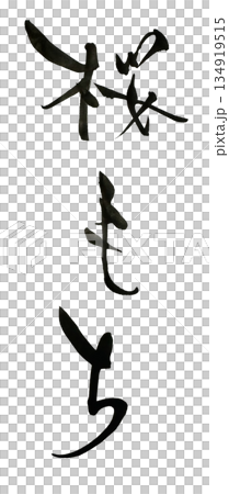 櫻花盛開 櫻花盛開 134919515