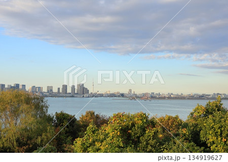 東京都・江東区・海の森から眺める東京都心の景色 東京都・江東区・海の森から眺める東京都心の景色 134919627