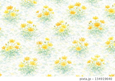 背景素材　花　キバナコスモス　黄花秋桜 134919640