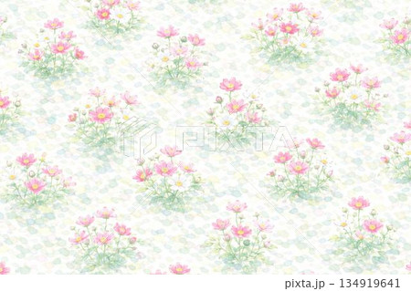 背景素材　花　コスモス　秋桜　こすもす 134919641