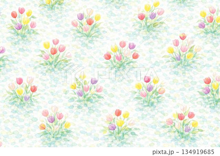 背景素材　花　チューリップ 134919685