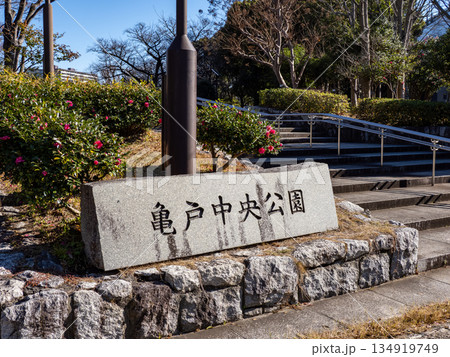 亀戸中央公園の入口にある石銘板(東京都江東区) 亀戸中央公園の入口にある石銘板(東京都江東区) 134919749
