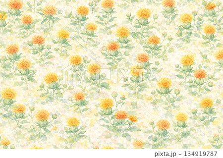 背景素材　花　ベニバナ 134919787