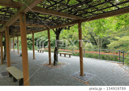 神奈川県・川崎市・東高根森林公園 神奈川県・川崎市・東高根森林公園 134919789