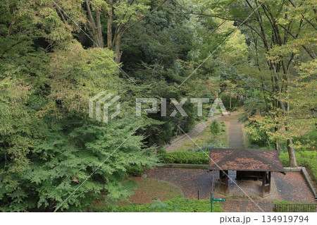 神奈川県・川崎市・東高根森林公園 神奈川県・川崎市・東高根森林公園 134919794