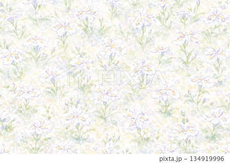 背景素材　花　しゃが　シャガ　胡蝶花 134919996