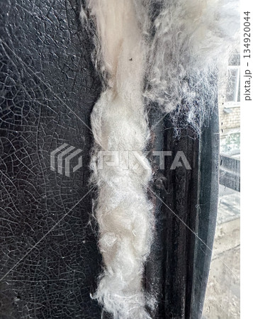Close-up of raw wool fibers against a dark textured surface. Close-up of raw wool fibers against a dark textured surface. 134920044