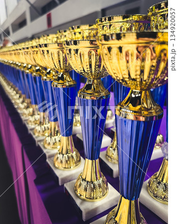 Row of golden and blue trophies displayed on a table. Row of golden and blue trophies displayed on a table. 134920057