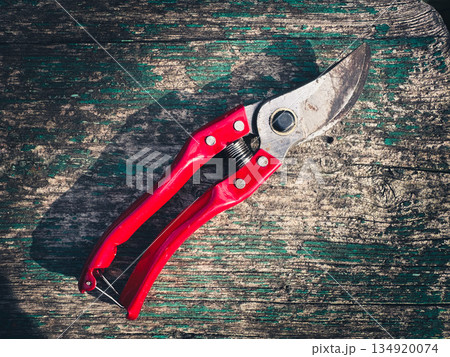 Rustic pruning shears with red handle on worn wooden surface. 134920074