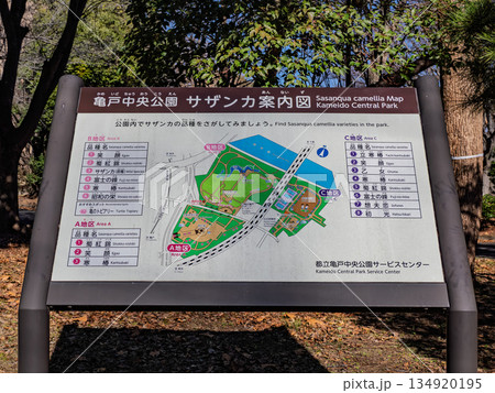 亀戸中央公園 サザンカ案内図(東京都江東区) 亀戸中央公園 サザンカ案内図(東京都江東区) 134920195